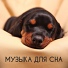 Мелодии без слов для медитации