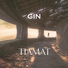 Gin